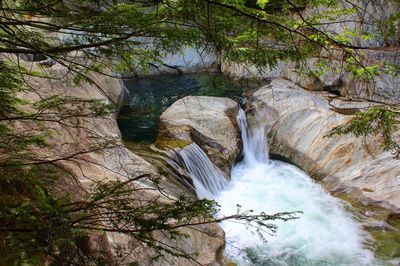 High angle view of stream amidst trees