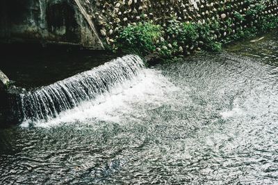 Plants growing on chair by sea