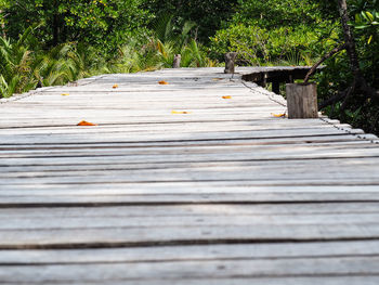 Boardwalk amidst trees at forest