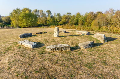 Scenic view of field