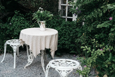 Potted plant on table in garden