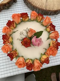 High angle view of roses on table