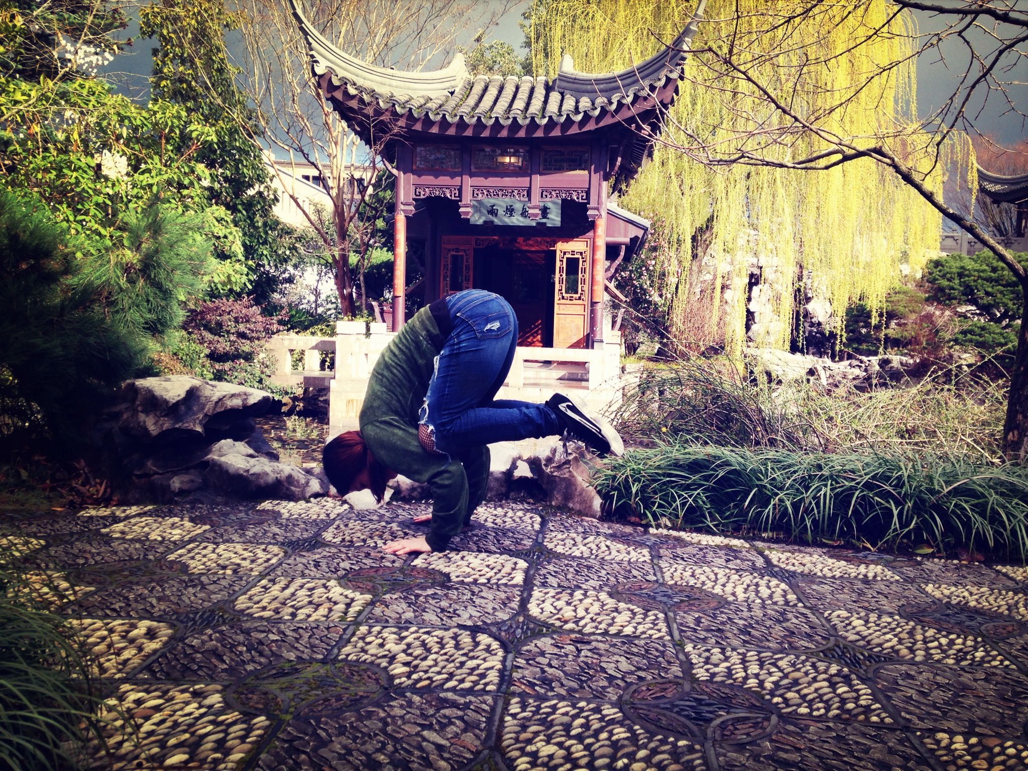 Yoga Japanese Garden Portland - EyeEm - 웹