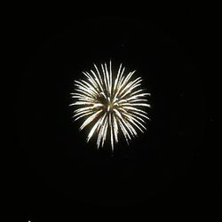 Low angle view of firework display