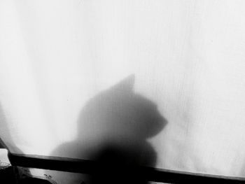 shadow