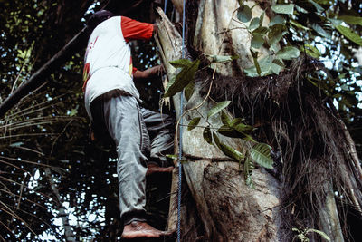 Low angle view of man on tree trunk