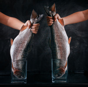 Cropped hands holding fish against black background