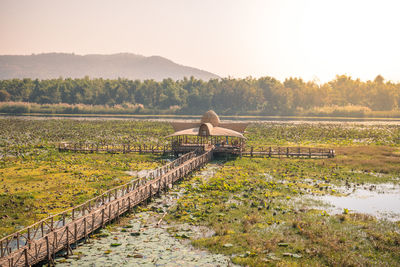 Scenic view of agricultural field against clear sky