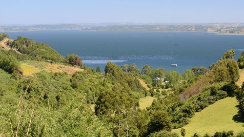 High angle view of trees and sea against sky