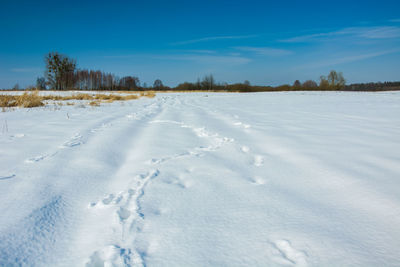 Snow covered field against sky