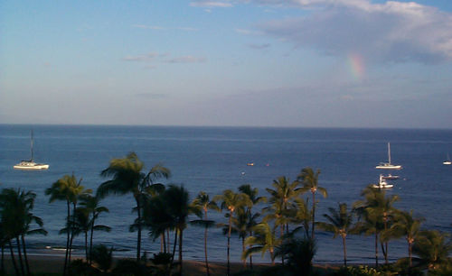 High angle view of palm trees against calm sea