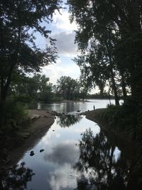 Scenic view of lake in forest against sky