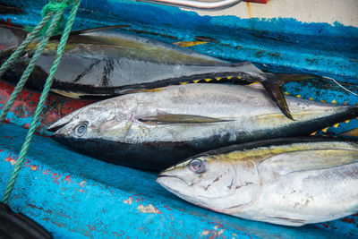 Close-up of fish in market