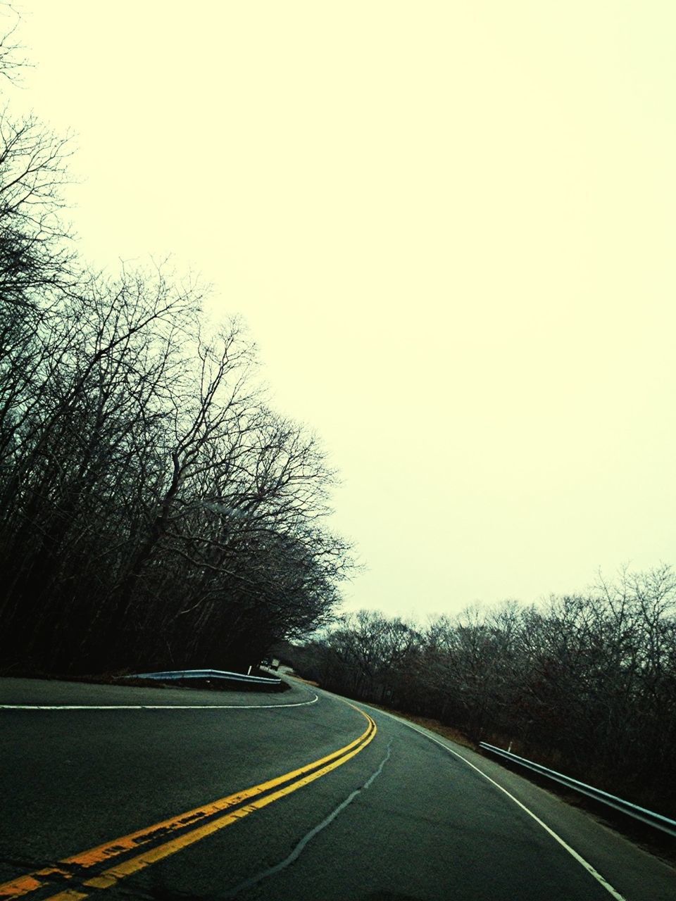 transportation, road, the way forward, road marking, clear sky, tree, diminishing perspective, country road, copy space, vanishing point, car, asphalt, street, mode of transport, land vehicle, empty road, empty, highway, dividing line, double yellow line