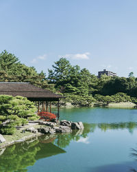 Plants by lake and building against sky