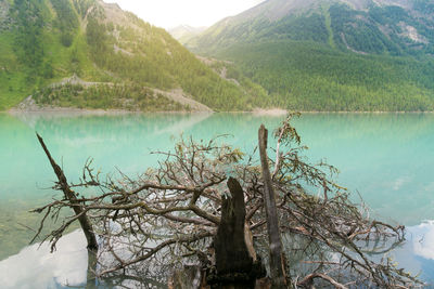 Scenic view of lake against mountains