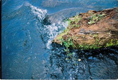 High angle view of rocks in sea