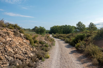 Dirt road amidst trees against sky