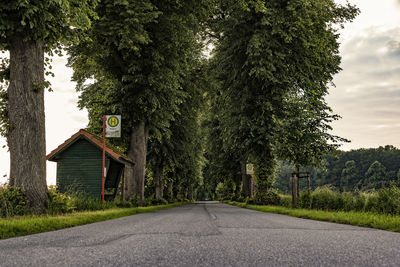 Empty road amidst trees and plants