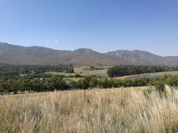 Scenic view of field against sky