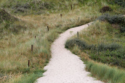 Footpath in a field