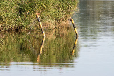 Scenic view of lake