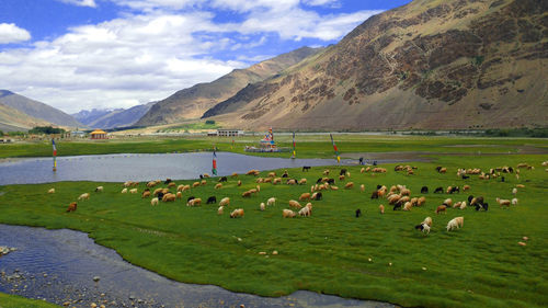 Scenic view of lake and mountains against sky