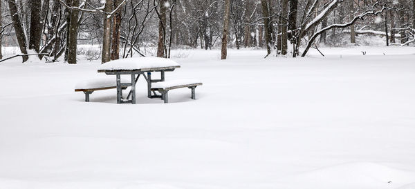 Empty picnic table covered in snow