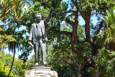 Low angle view of statue against trees