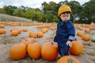 Full length of boy standing by pumpkins