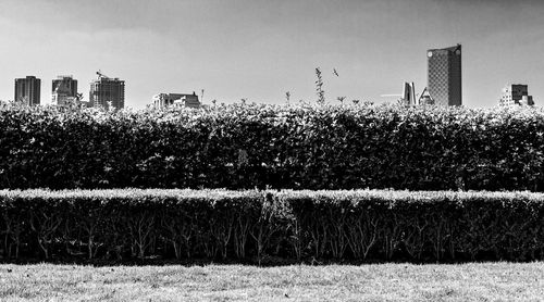 View of building in field