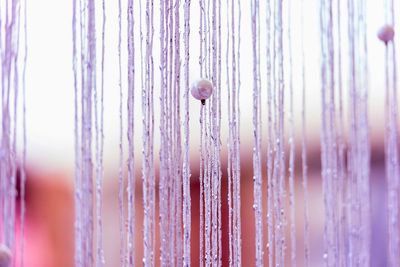 Close-up of threads hanging