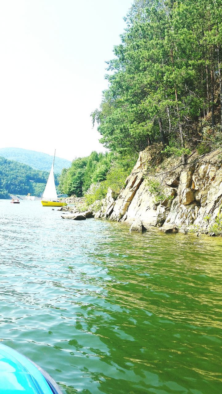 water, tree, waterfront, rippled, scenics, tranquil scene, tranquility, clear sky, sea, green color, nature, branch, rock formation, travel destinations, cliff, beauty in nature, day, non-urban scene, riverbank, outdoors, non urban scene, tourism, no people, water surface, coastline