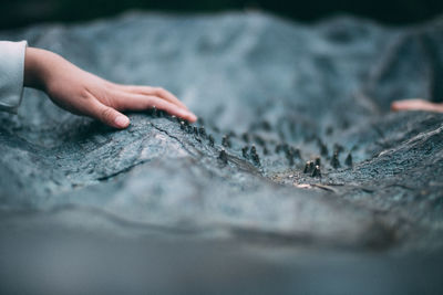 Close-up of hand touching wood