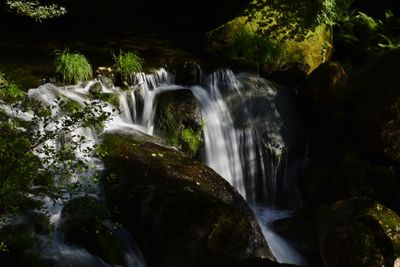 Scenic view of waterfall in forest