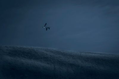 Low angle view of airplane flying in sky