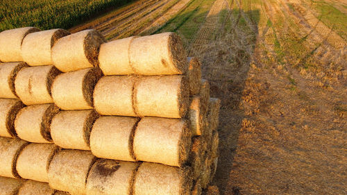 Close-up of hay