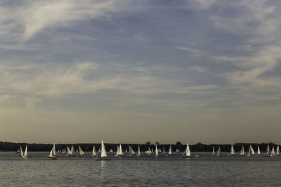 View of birds in sea against sky