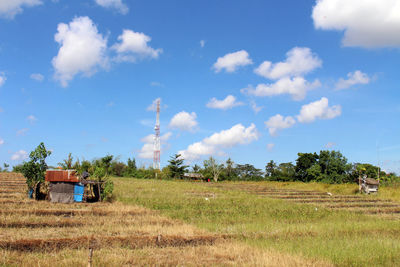 Plants growing on field against sky