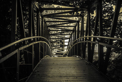 View of bridge in forest