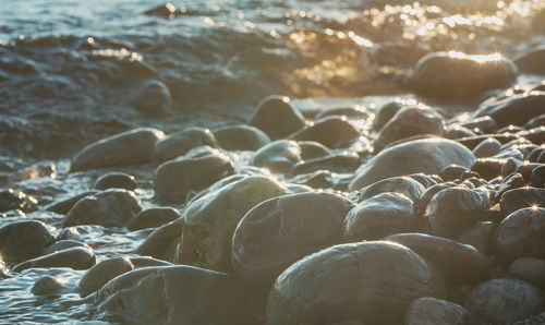 Close-up of rocks on beach