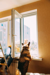 Woman of fifty in yellow sweater washes dusty window in apartment. 