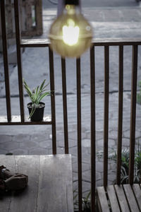 Close-up of potted plants on railing