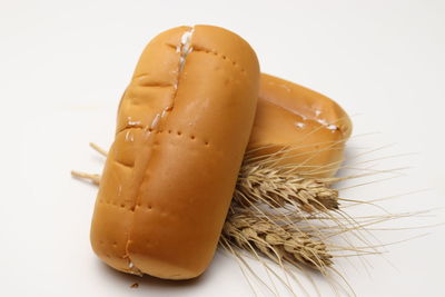 Close-up of ice cream against white background