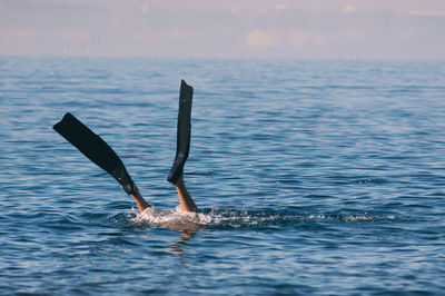 Low section of man swimming in sea