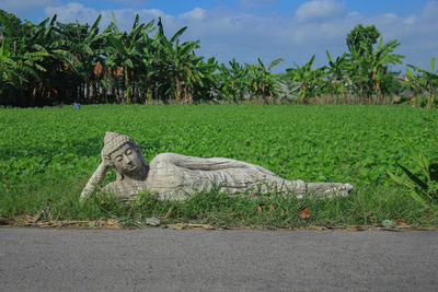 Statue by palm trees on field against sky