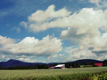 Scenic view of field against cloudy sky