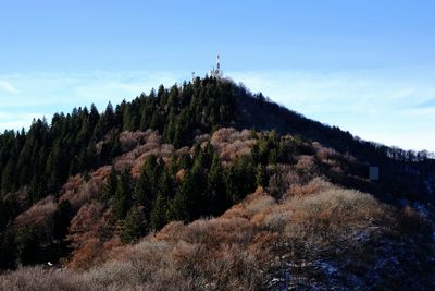 Scenic view of landscape against blue sky