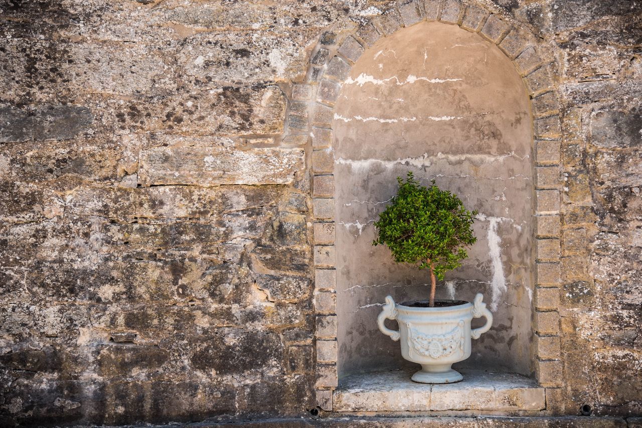 architecture, potted plant, wall, plant, built structure, wall - building feature, no people, day, growth, the past, history, old, nature, stone wall, arch, outdoors, building exterior, window, green color, brick, flower pot, well