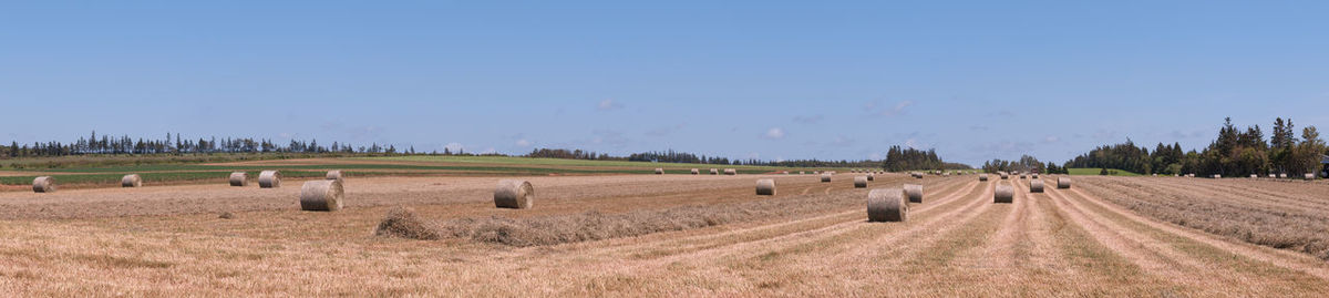Hay bales on field against sky